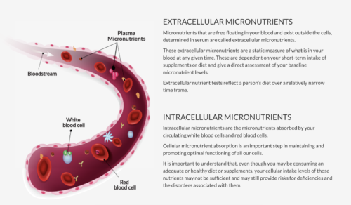 Extracellular vs intracellular micronutrient testing